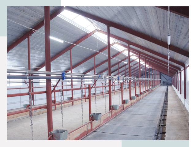 Строительство коровников в Орске от 620 руб.