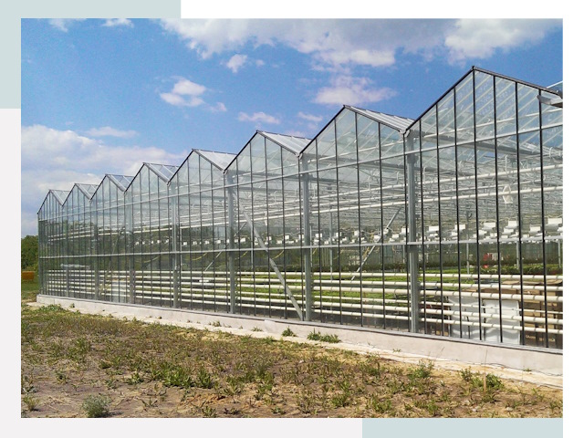 Строительство теплиц в Орск от 620 руб. за м²